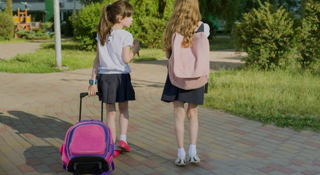 Bolsa Trolley